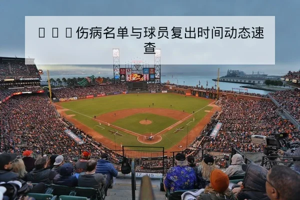 中超本轮首发与替补伤病名单综合查询